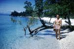 Man, Male, Beach, tree in the water, 1950s