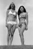 Bikini Girls, smiles, hiphugger, top, bottom, 1960s, RVLV09P08_05