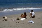 Beach, Sand, Water, Girl, Woman, Man, Dog