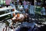Roast Pig, BBQ, Rotisserie, Fire Pit, 1960s, RVPV01P09_01