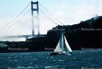 Windy Day on the Bay and the Golden Gate Bridge, SALV01P03_15