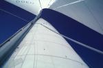 Sails, Looking-Up, SALV01P03_19