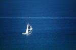Sailboat with Spinnaker