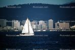 Sailing on The Bay, Cityscape, skyline, building, skyscraper, Downtown, Down town, Metropolitan, Metro, Outdoors, Outside, Exterior