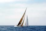 World Cup Sailing, San Diego, SALV01P15_13