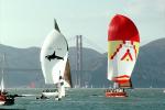Spinnakers in the Wind, SALV02P06_14