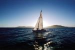 Sailing in the San Francisco Bay, Angel Island, SALV02P12_15B