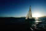 Sailing in the San Francisco Bay, Angel Island, SALV02P12_17