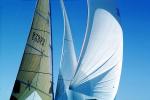 Spinnaker in the Wind, SALV02P15_17