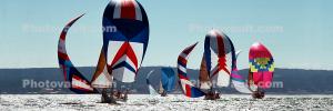 Spinnakers in the Wind, SALV03P02_05B