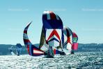 Spinnakers in the Wind, SALV03P02_08