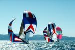 Spinnakers in the Wind, SALV03P02_14