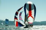 Spinnakers in the Wind