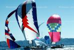 Spinnakers in the Wind, SALV03P03_06
