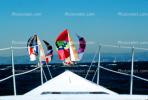 Spinnakers in the Wind, SALV03P03_12