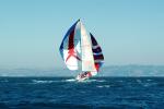 Spinnakers in the Wind, SALV03P03_14