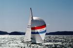 Spinnaker in the Wind, SALV03P12_09