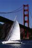 Golden Gate Bridge, SALV04P02_06