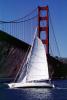Golden Gate Bridge, SALV04P02_07