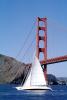 Golden Gate Bridge, SALV04P02_13
