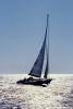 Windy Sailing, SALV04P02_14