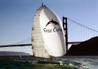 Free Corky, Golden Gate Bridge, SALV04P04_06