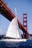 Golden Gate Bridge, SALV04P05_19