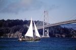 San Francisco Oakland Bay Bridge, SALV04P06_04