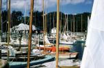 Sailing boat, Habor, docks, mast, Docked Boats, SALV05P02_10