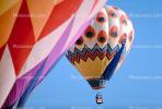 Peacock, Albuquerque International Balloon Fiesta, morning, SBLV01P07_14.2656
