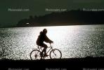 Man Riding Bicycle, Tiburon Linear Park, Bay, water, sunset, SBYV03P01_17.2662