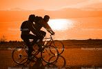 Men Riding Bicycle, Tiburon Linear Park, Bay, water, sunset