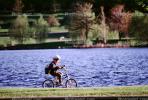 Boy, lake, park, trees, water, helmet, Ottawa, Canada