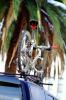 Bike on a Car Rack, SBYV03P11_14