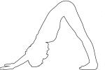Yoga Pose outline, Pretzels-Yoga Studio, line drawing, shape