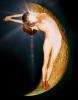 Crescent Moon, Half Moon, Pretzels-Yoga Studio, Union of Yoga - The namesake of Yoga Poses, SEYV01P15_03