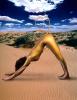 Downward Dog, Union of Yoga - The namesake of Yoga Poses, Pretzels-Yoga Studio, SEYV01P15_10