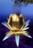 Lotus, Union of Yoga - The namesake of Yoga Poses, Pretzels-Yoga Studio, concentric rings, SEYV01P15_16