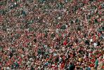 Crowds, Audience, Packed, Spectators, fans, Super Bowl XIX, Stanford Stadium, 49r vs Miami Dolphins, NFL, January 1985, SFBV01P05_19.2657