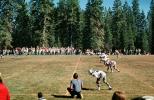 Lakers Football Team, North Tahoe High School, Placer County, Tahoe City, May 1975, SFCV01P02_18