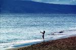 woman, female, ocean, sand, sandy, beach, fishing pole, rod and reel, SFIV01P03_07B