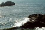 Seal Rock, Pacific Ocean, Waves, SFIV01P09_11
