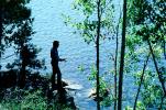 Fishing Pole, Lake, Trees, Man