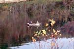 Lake, Fishing Boat, Fall Colors, Autumn, Bucolic, Reflection, SFIV01P14_01