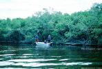 Mangroves, trees, swamps, outboard motor boat, boys, wetlands, bayou