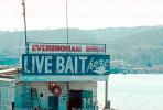 live bait, Everingham Bros, 1971, 1970s