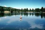 Fisherman, lake, waterproof fishing pants, SFIV02P03_05