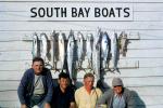 South Bay Boats, fishermen, man, fish catch, 1950s