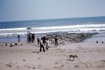 Beach, Sand, Waves, Ocean, Mexico, 1974, 1970s, SFIV02P11_09