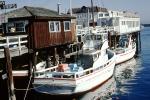 Boats, Dock, Pier, buildings, New Roz, Rappas Sea Food Restaurant, SFIV02P11_19